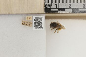 Media type: image;   Entomology 794971 Aspect: Labels